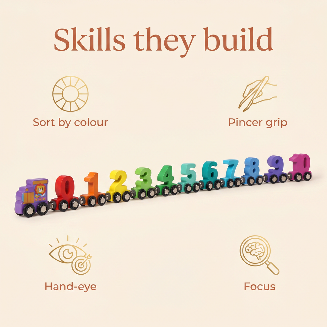 Skills they build - sort by colour, pincer grip, hand-eye coordination, focus
