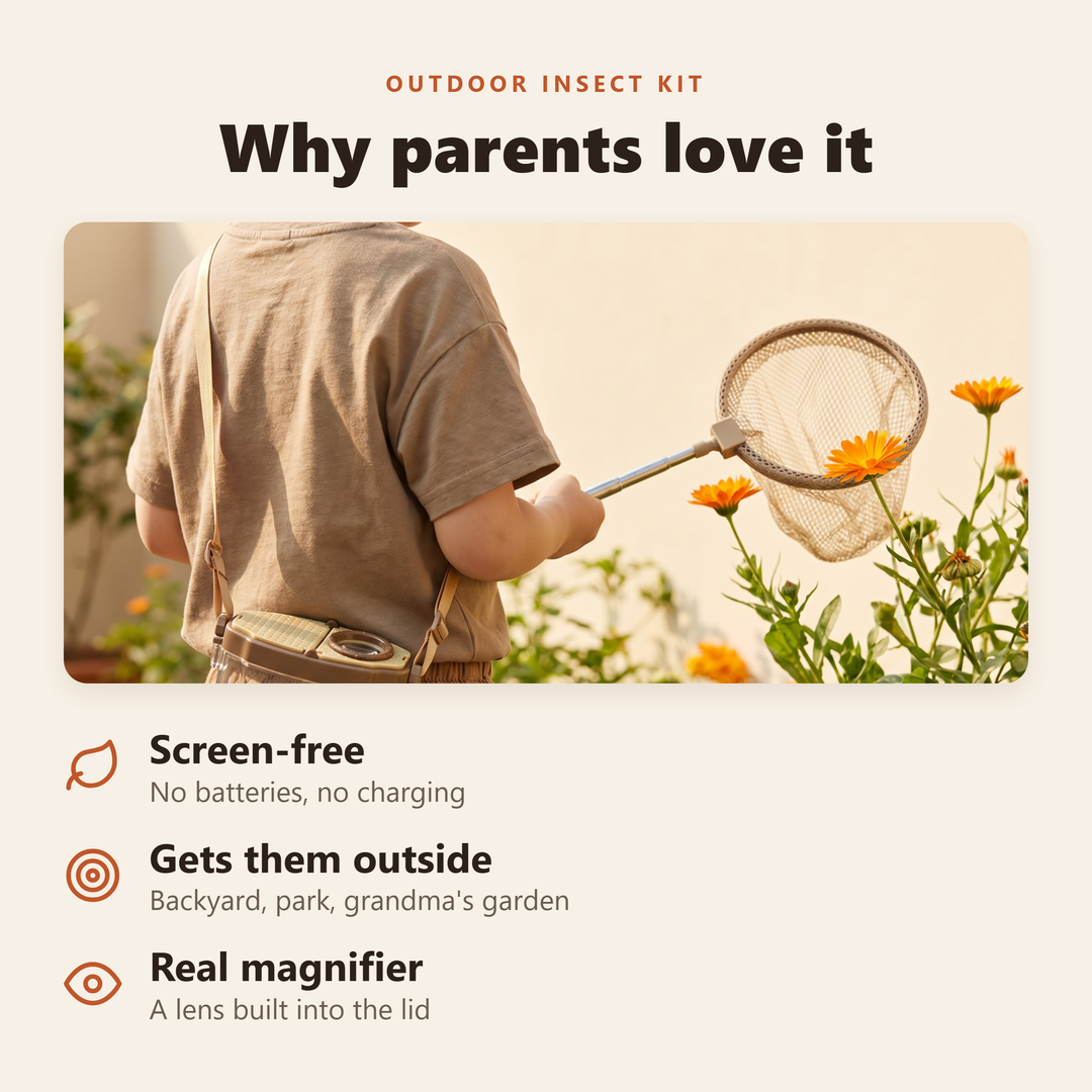 Outdoor Insect Observation Kit