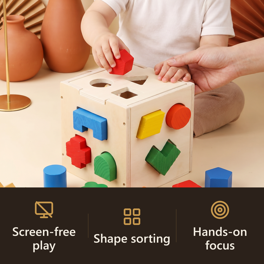Wooden Shape-Sorter Box - hook