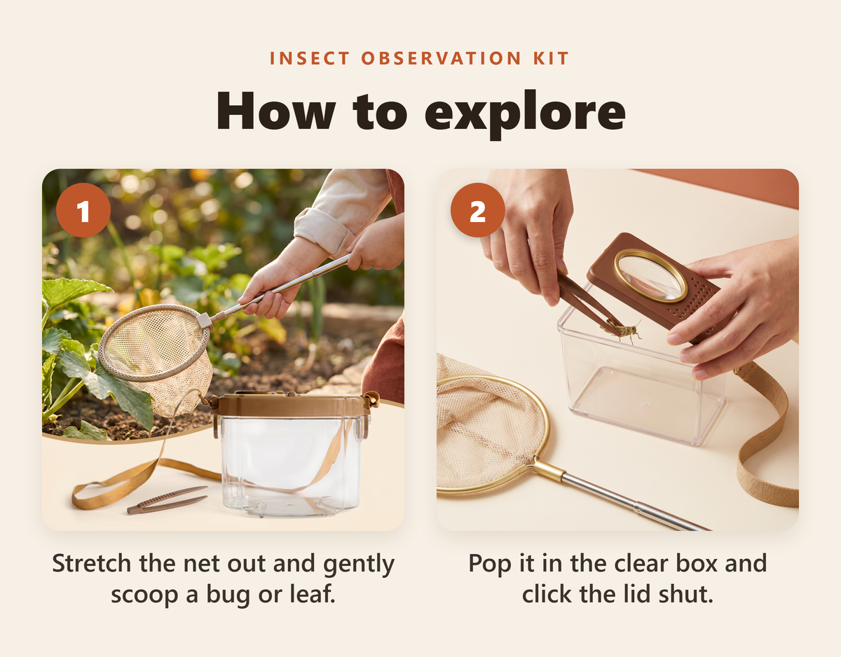 Outdoor Insect Observation Kit - howto