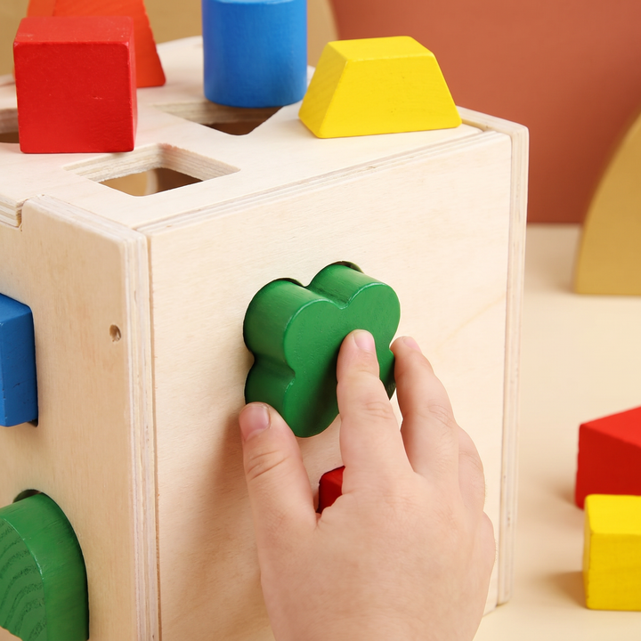 Close-up of a colorful wooden block fitting into its matching shaped hole