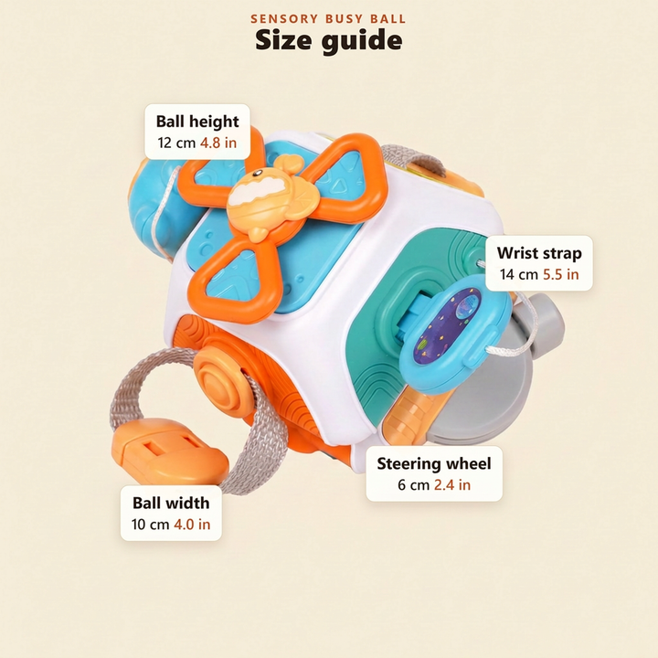Size guide for the sensory busy ball in centimetres and inches