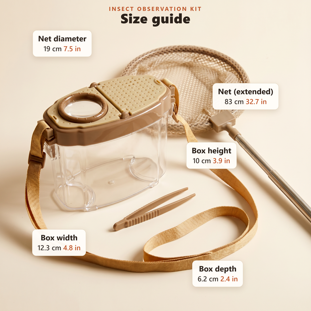 Outdoor Insect Observation Kit