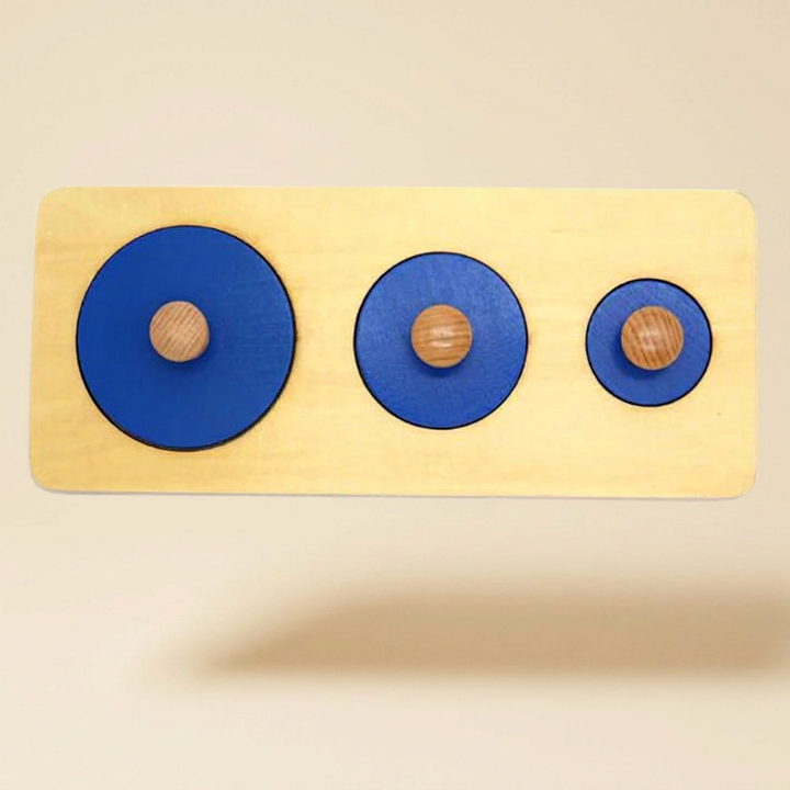 Wooden shape puzzle: board with three graduated circles for size sorting.